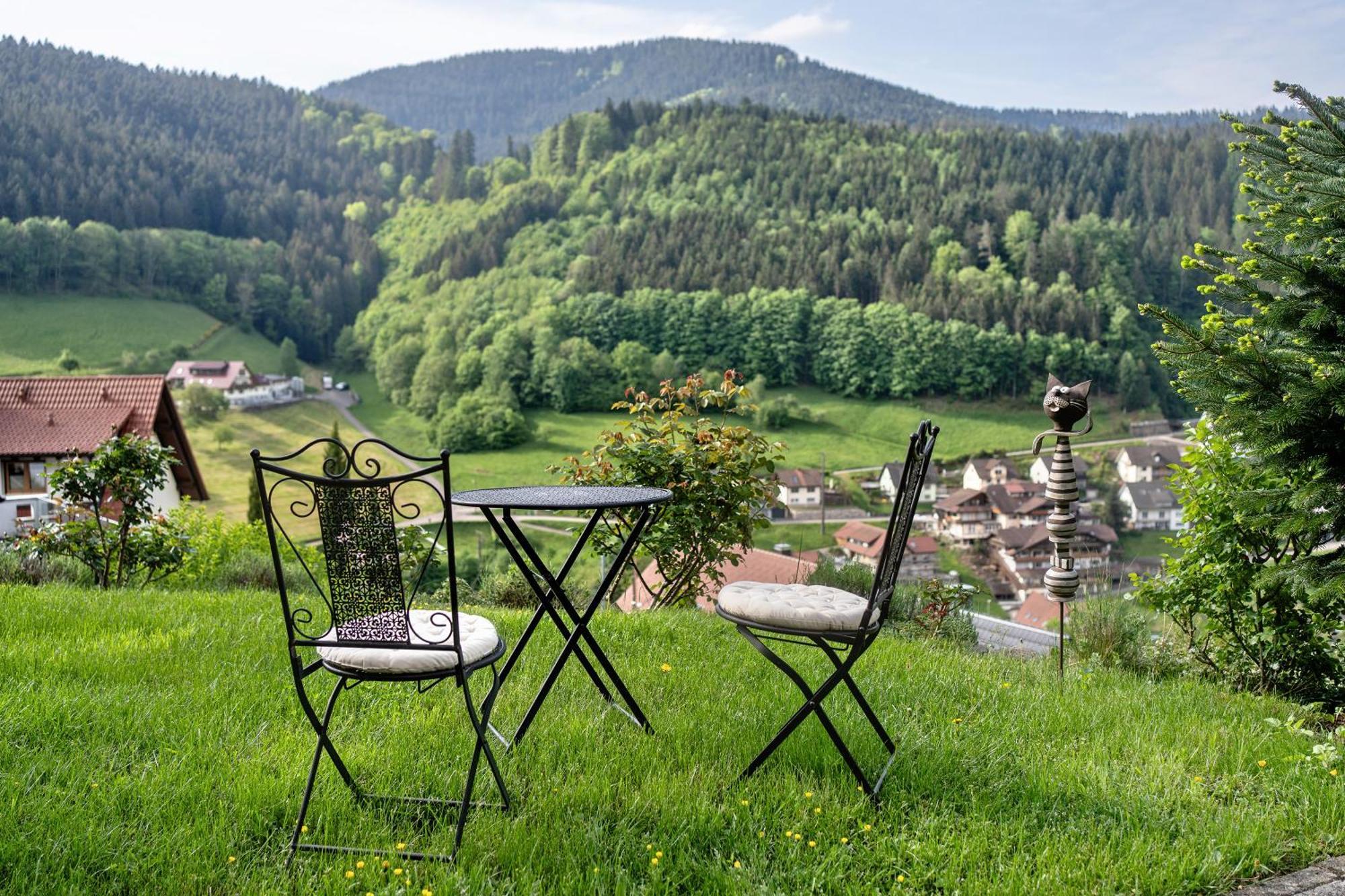 Haus Herbert Panter Бад-Петерсталь-Грисбах Экстерьер фото